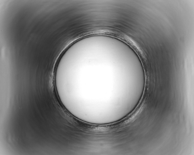 X0000093751178200710160804