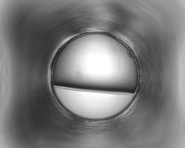 X0000093751179200710160804