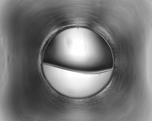 X0000093751180200710160804