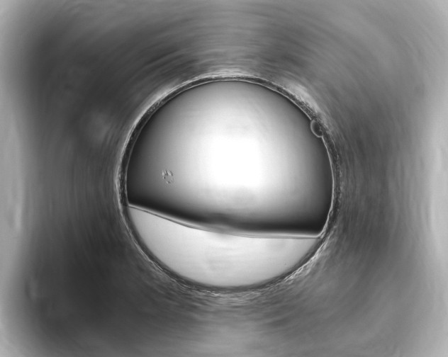 X0000093751181200710160804