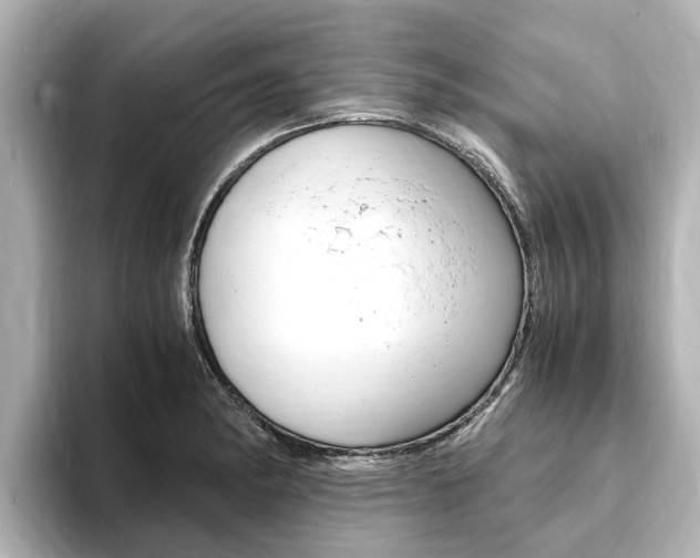 X0000093751182200710160804