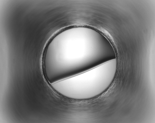 X0000093751183200710160804