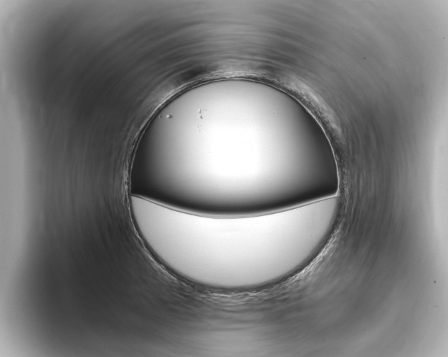 X0000093751185200710160804
