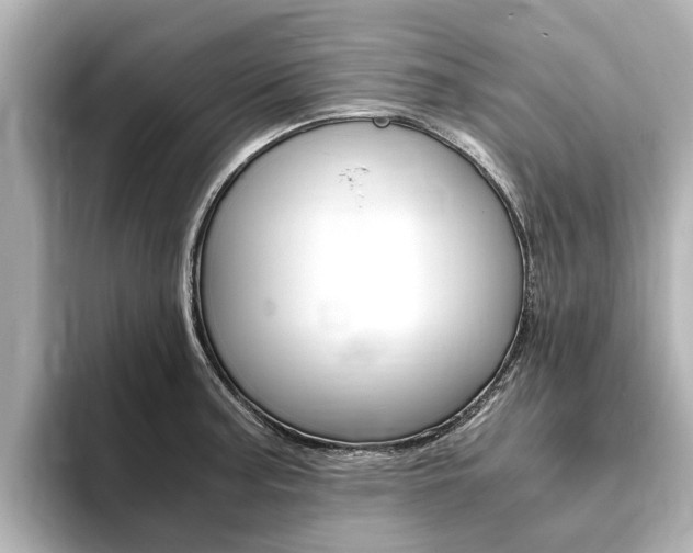 X0000093751187200710160804