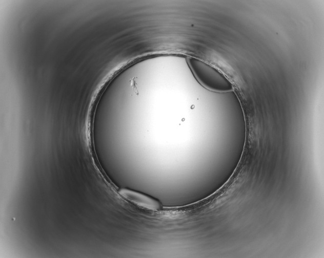 X0000093751188200710160804