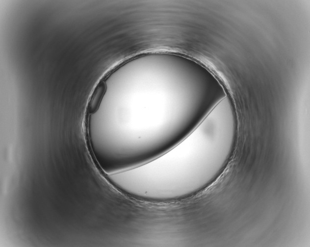 X0000093751189200710160804