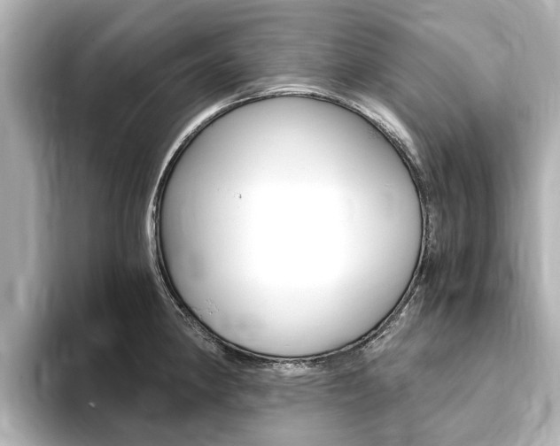 X0000093751190200710160804