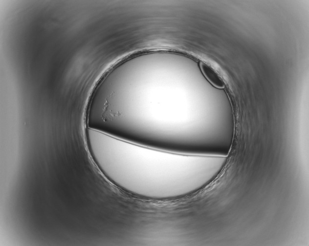 X0000093751191200710160804