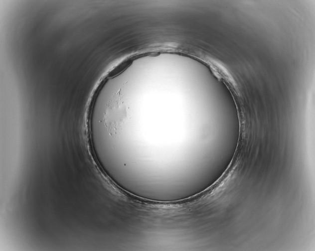 X0000093751192200710160804