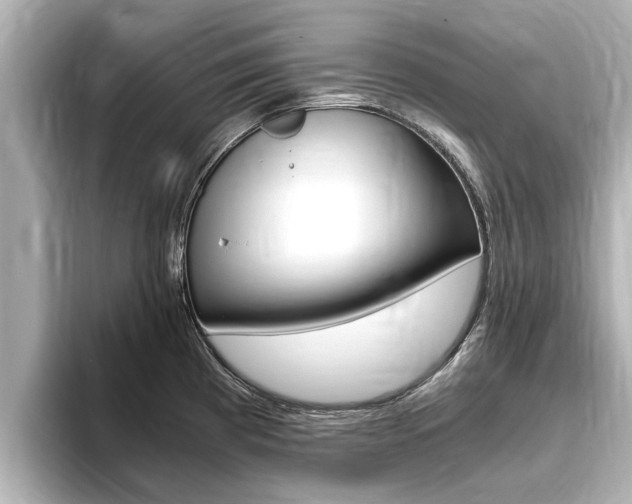 X0000093751193200710160804