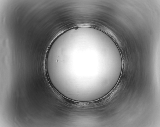 X0000093751194200710160804