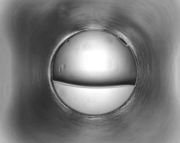 X0000093751195200710160804