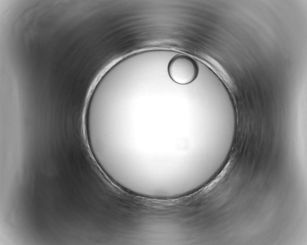 X0000093751196200710160804
