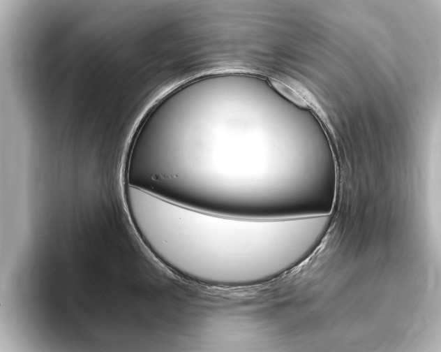 X0000093751197200710160804