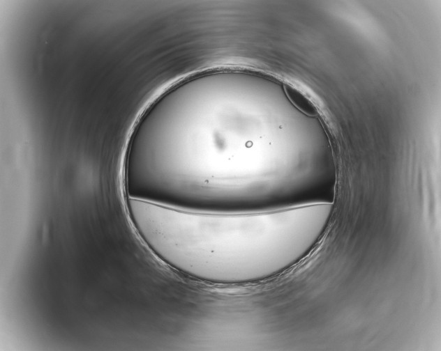 X0000093751199200710160804