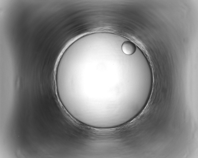 X0000093751200200710160804