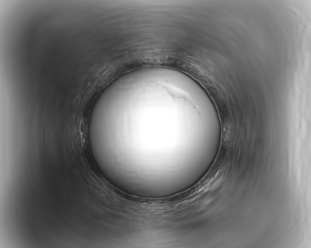 X0000093751202200710160803