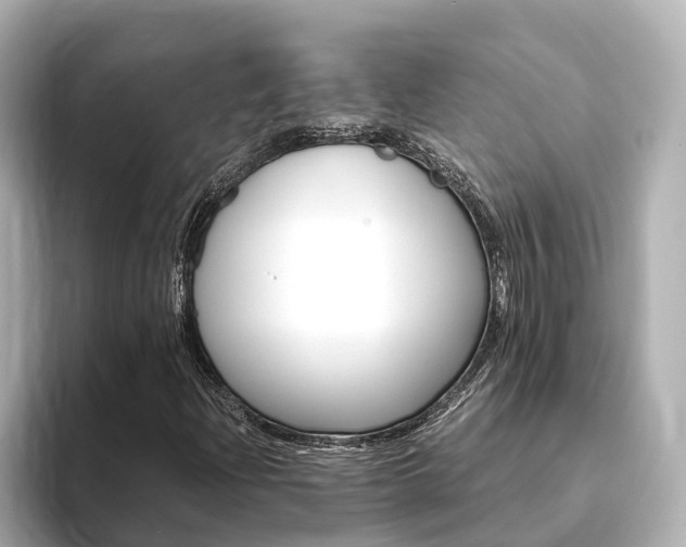 X0000093751204200710160803