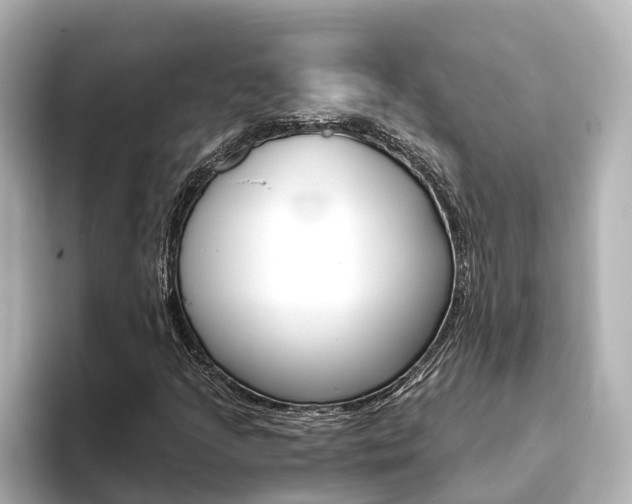 X0000093751205200710160803
