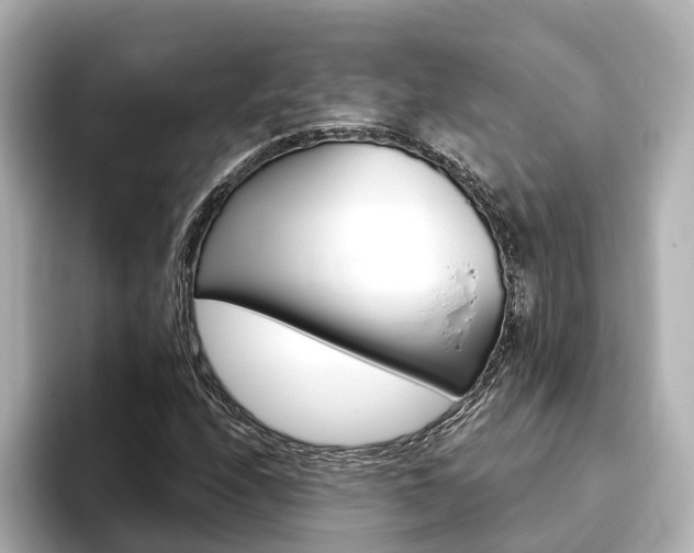 X0000093751208200710160803