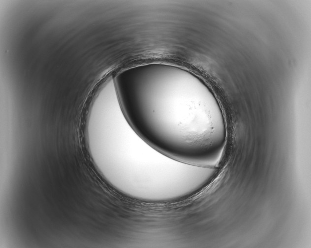 X0000093751210200710160803