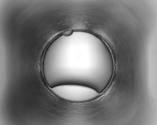 X0000093751212200710160803
