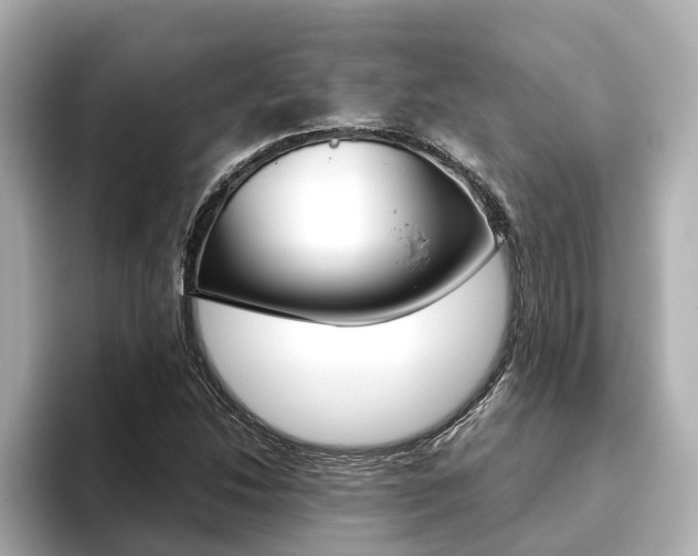 X0000093751214200710160803
