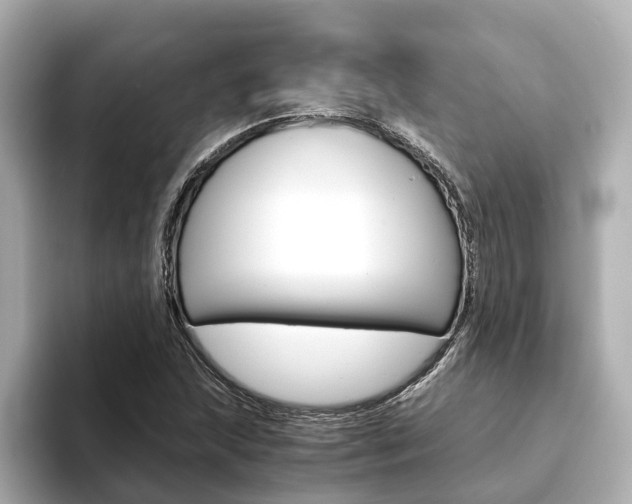 X0000093751215200710160803