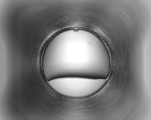 X0000093751216200710160803