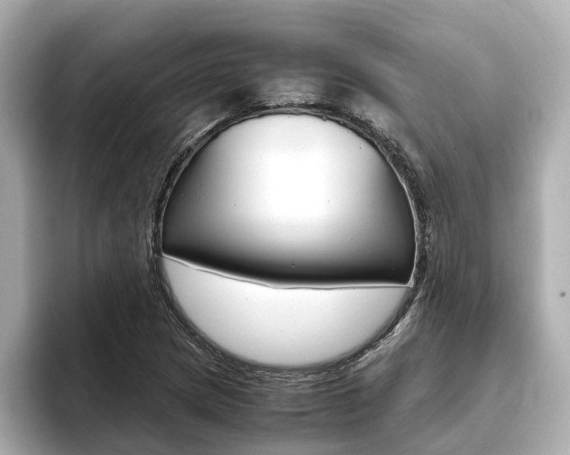 X0000093751217200710160803