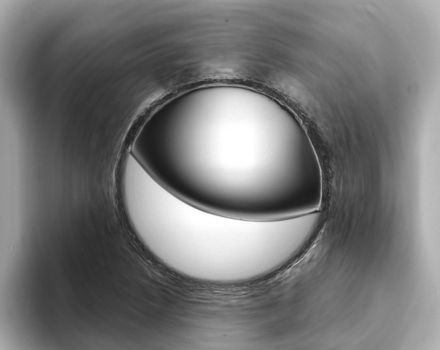 X0000093751218200710160803