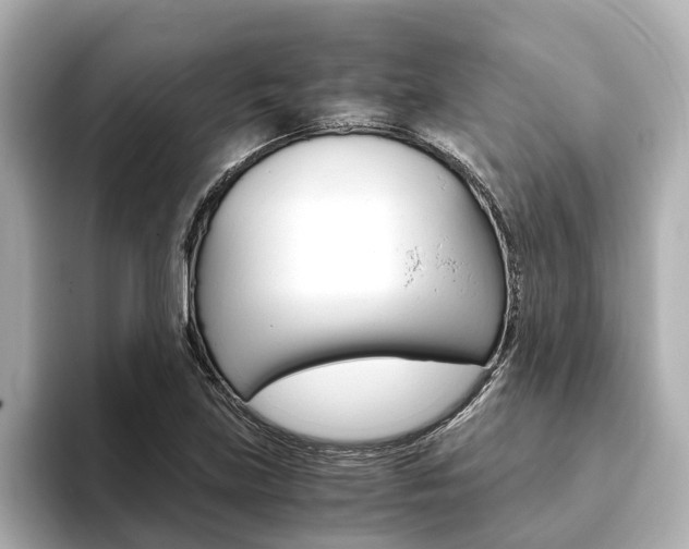 X0000093751219200710160803