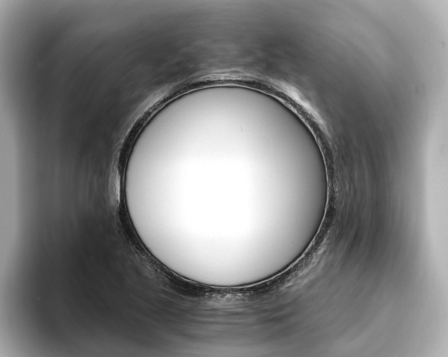 X0000093751221200710160803