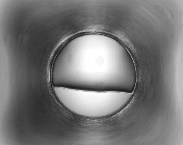 X0000093751224200710160803