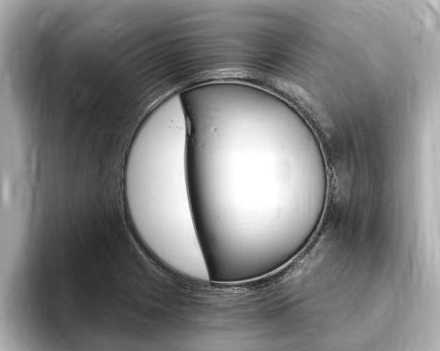 X0000093751225200710160803