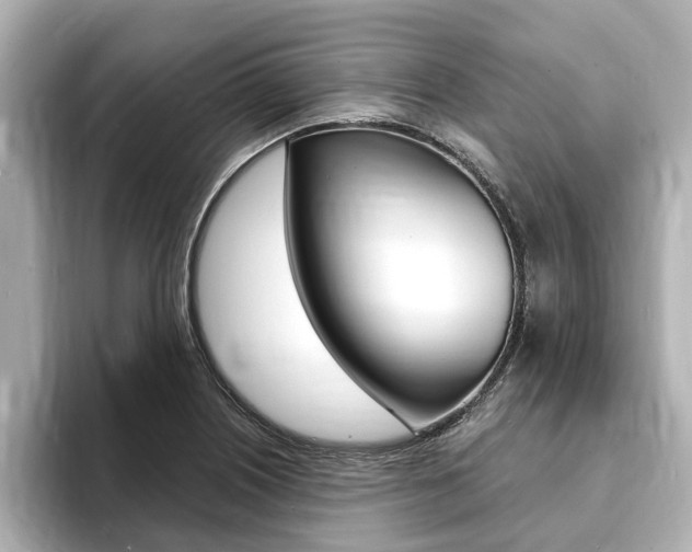 X0000093751226200710160803