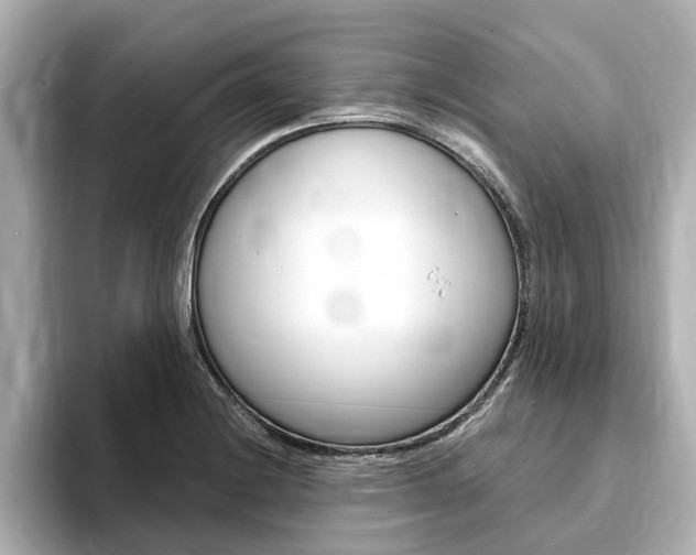X0000093751228200710160803
