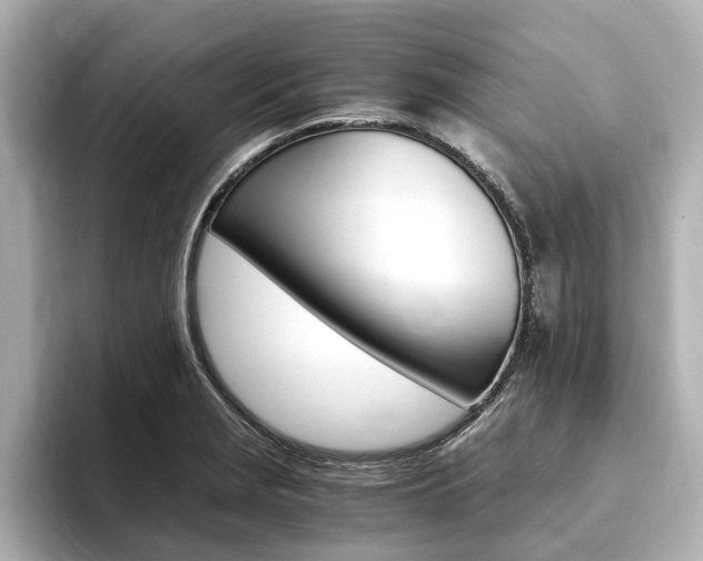 X0000093751229200710160803