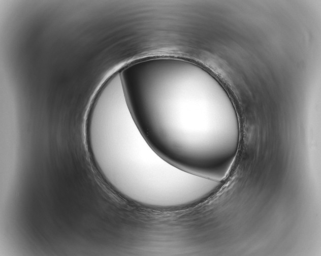 X0000093751230200710160803