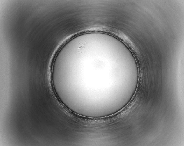 X0000093751232200710160803
