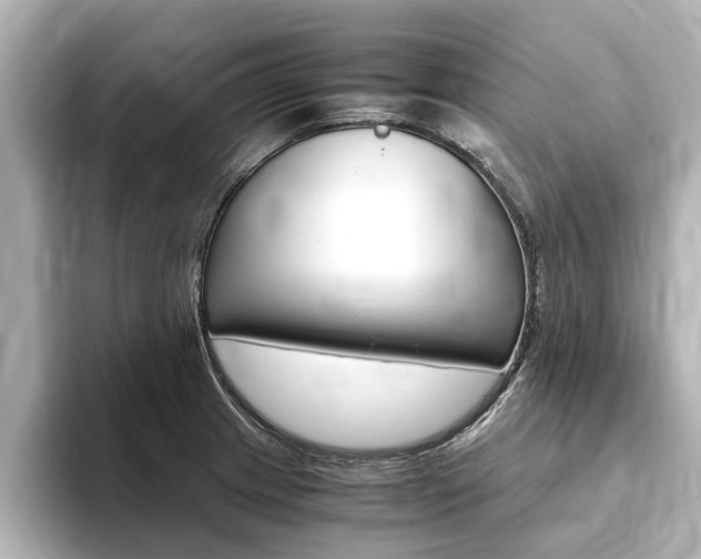 X0000093751233200710160803