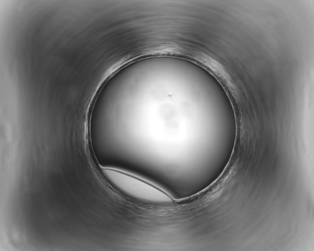 X0000093751234200710160804