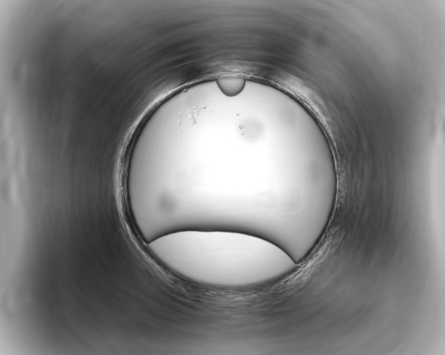 X0000093751235200710160804