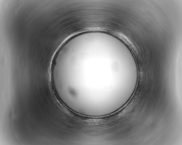 X0000093751236200710160804