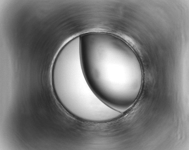 X0000093751238200710160804