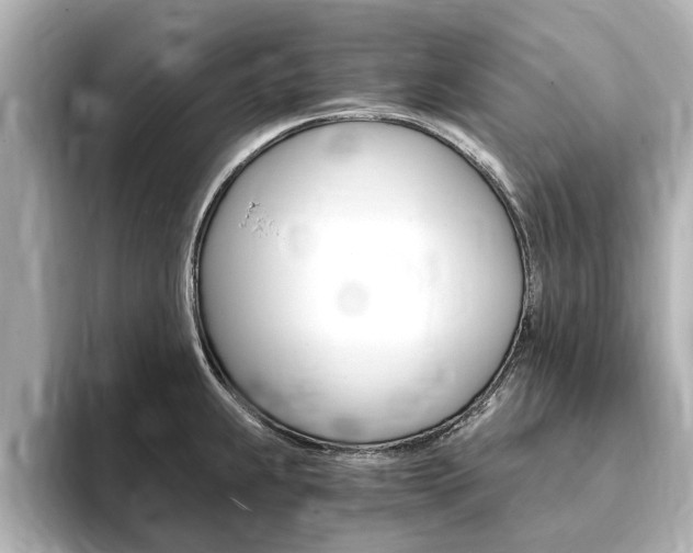 X0000093751239200710160804