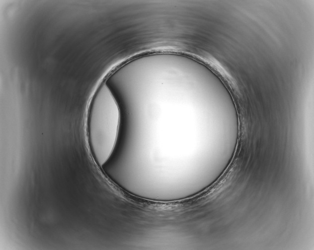 X0000093751240200710160804