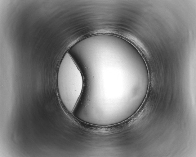 X0000093751241200710160804