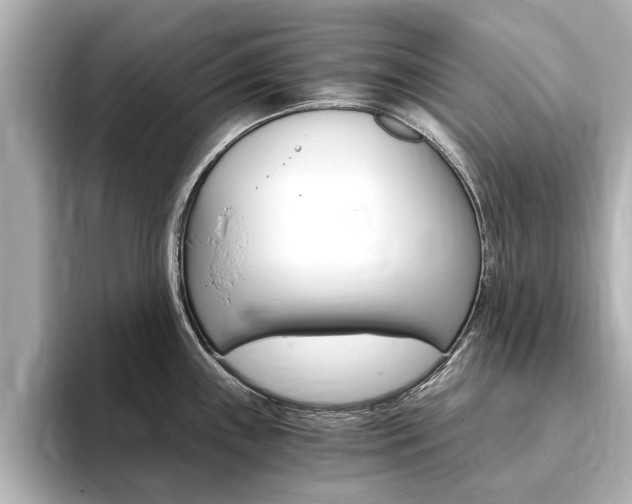 X0000093751243200710160804