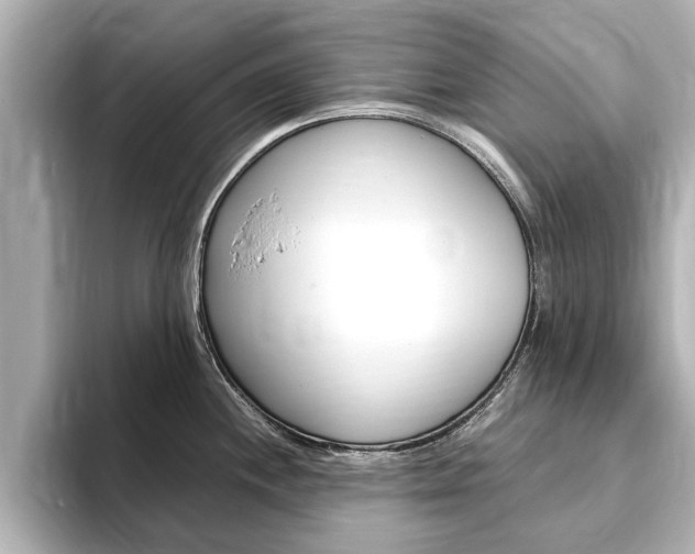 X0000093751244200710160804